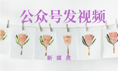 新媒虎-微信公众号怎么发视频 新媒虎-微信公众号怎么发视频