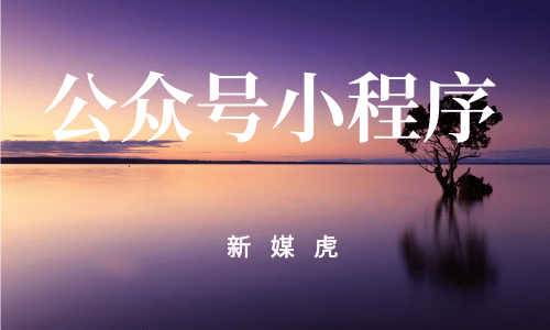 新媒虎-公众号小程序 新媒虎-公众号小程序