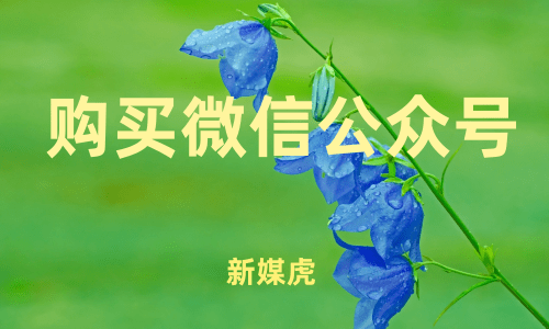 新媒虎-故事类公众号购买 新媒虎-故事类公众号购买