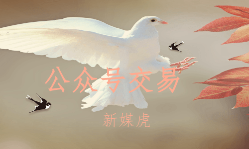 新媒虎-资讯公众号交易 新媒虎-资讯公众号交易